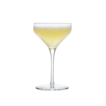 (12 pieces) LIBBEY | PRISM - Coupe - 237ml