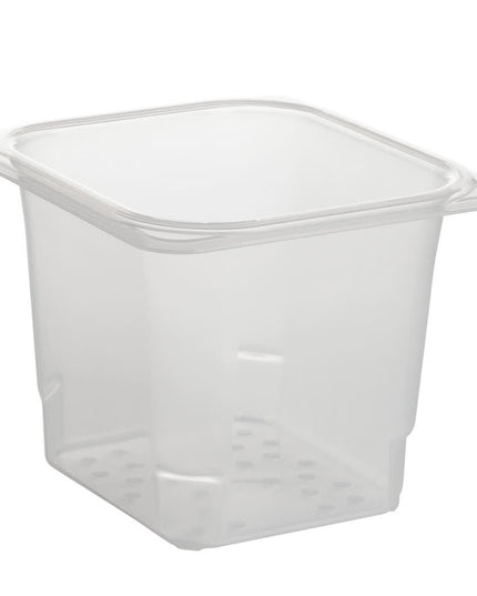 Cambro 65CLRPP190 Rổ Lọc Khay Thực Phẩm - Cỡ 1/6, Sâu 12.7 cm, Trong Mờ