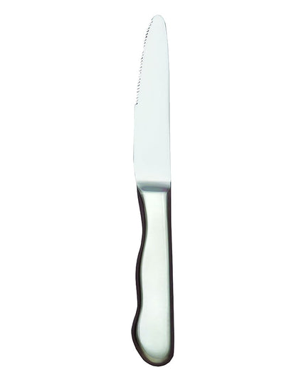 Dao Bít Tết Libbey 195 2492 25.4 cm Đầu Tròn Tay Rỗng Thép Không Gỉ Kiểu Baron Radiant