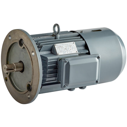 Mô-tơ Avantco 177PEMB94MTR cho máy cưa thịt EMBS94SS