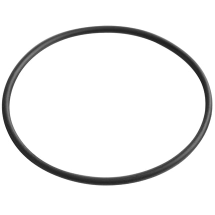 Vòng đệm O-Ring 554PBSSWRING