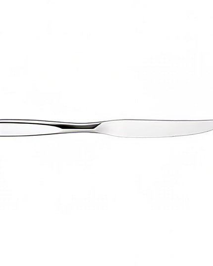 Dao Bít Tết Oneida B443KSSF 24.1 cm Thép Không Gỉ 18/0 Kiểu Tidal