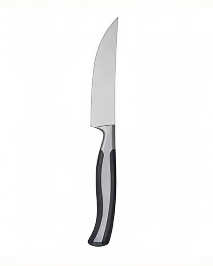 Dao Bít Tết Oneida B907KSSC Caspian 23.8 cm Inox