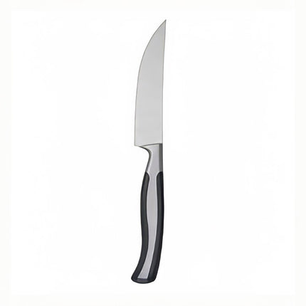 Dao Bít Tết Oneida B907KSSC Caspian 23.8 cm Inox