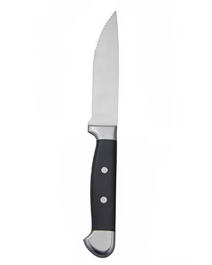 Dao Steak Oneida B907KSSF Ionian 26 cm Thép Không Gỉ