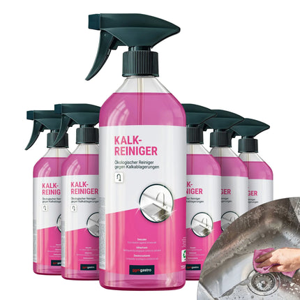 GGM Gastro (6 pcs) Dishwasher Descaler - 750ml - Eco