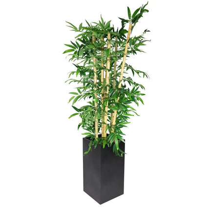 GGM Gastro Artificial "Bamboo" Tree - 210cm - Potted