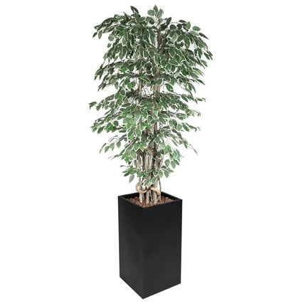 GGM Gastro Artificial "Ficus Starlight" Tree - 210cm - Potted