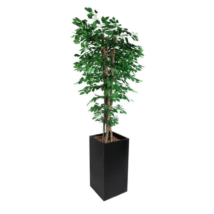 GGM Gastro Artificial "Ficus" Tree - 210cm - Potted