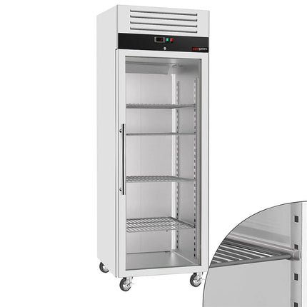 GGM Gastro Commercial Upright Display Fridge Stainless steel ECO - GN 2/1 - 440L - with 1 glass door - On castors