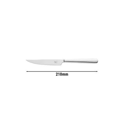 ZWILLING | Melody Steak Knife – 210 mm blade - 18/10 stainless steel - polished