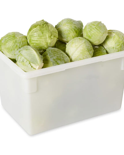 Rubbermaid FG350100WHT Hộp Bảo Quản Thực Phẩm 21 1/7.6 lít - 26x18x38.1 cm Poly Trắng