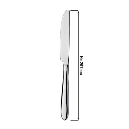 (12 Cái) Dao Ăn - GGM Gastro Leandro - Thép Không Gỉ 13/0 - 207mm