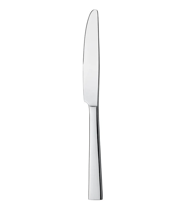 (12 Cái) Dao Ăn - GGM Gastro Luca - Thép Không Gỉ 18/0 - 244mm