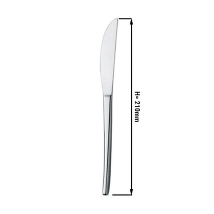 (12 pcs) Fish knife GGM Gastro Aleria - 13/0 stainless steel - 210mm