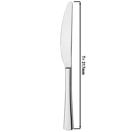 (12 pcs) Table knife GGM Gastro Alessandra - 18/10 stainless steel - 217mm
