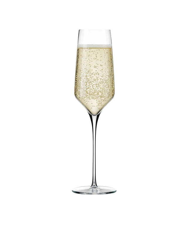 (12 pieces) LIBBEY | PRISM - Champagne glass - 244ml