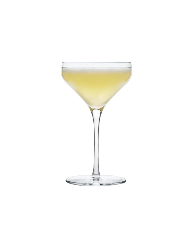 (12 pieces) LIBBEY | PRISM - Coupe - 237ml