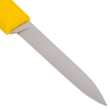 Bộ Dao Gọt Hoa Quả Dexter Russell S104Y-PCP SANI-SAFE® 8.3 cm Cán Polypropylene Vàng Thép Carbon