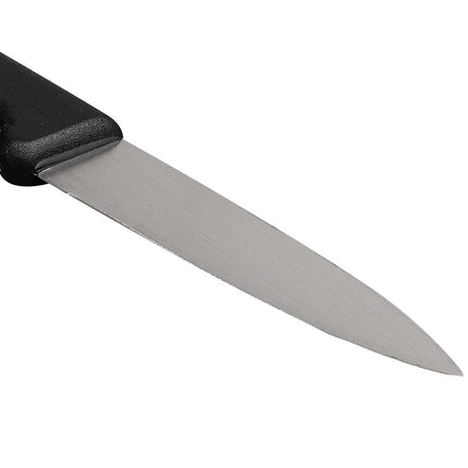 Dao Gọt Dexter Russell P94843B 7.9 cm Cán Polypropylene Đen Thép Carbon