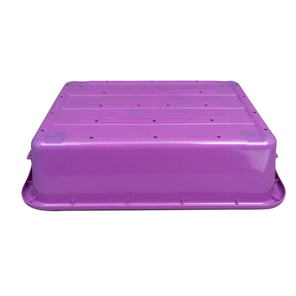 Hộp Thoát Nước Đựng Thực Phẩm Vollrath 1511-C80 - 50.8 cm x 38.1 cm x 12.7 cm, Nhựa, Tím