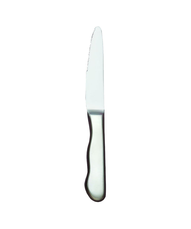 Dao Bít Tết Libbey 195 2492 25.4 cm Đầu Tròn Tay Rỗng Thép Không Gỉ Kiểu Baron Radiant