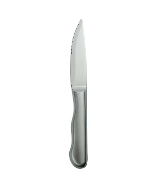 Dao Steak Libbey 195 2892 Baron Radiant 25.4 cm Cán Rỗng Thép Không Gỉ