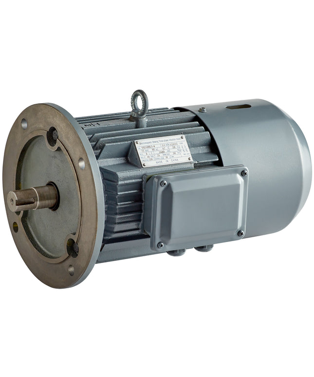 Mô-tơ Avantco 177PEMB94MTR cho máy cưa thịt EMBS94SS