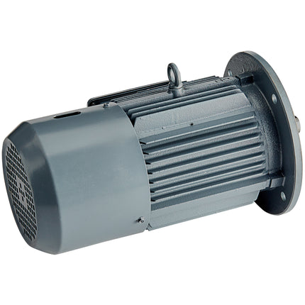 Mô-tơ Avantco 177PEMB94MTR cho máy cưa thịt EMBS94SS