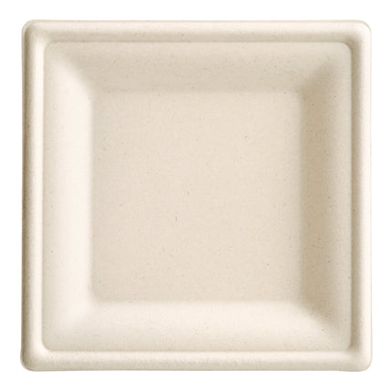 Đồ đựng thực phẩm thân thiện môi trường EcoChoice 15,2 cm x 15,2 cm Natural Plant sợi vuông đĩa - Gói 100 cái