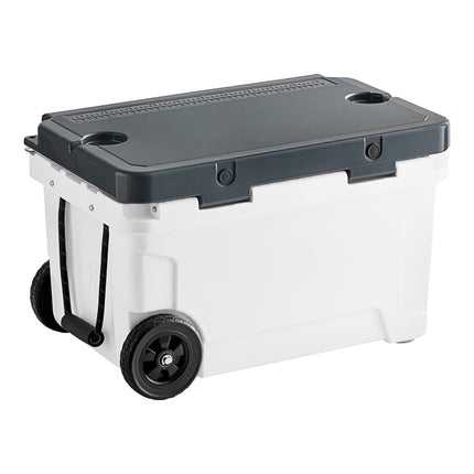 Thùng giữ lạnh ngoài trời di động CaterGator CG45PAW họa tiết gấu trúc 43 lít