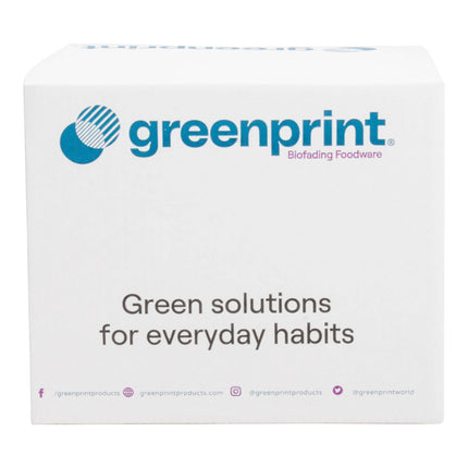 Ống hút Greenprint 21 cm tự nhiên cây thùa cỡ lớn không bọc lẻ - Thùng 2.000 cái