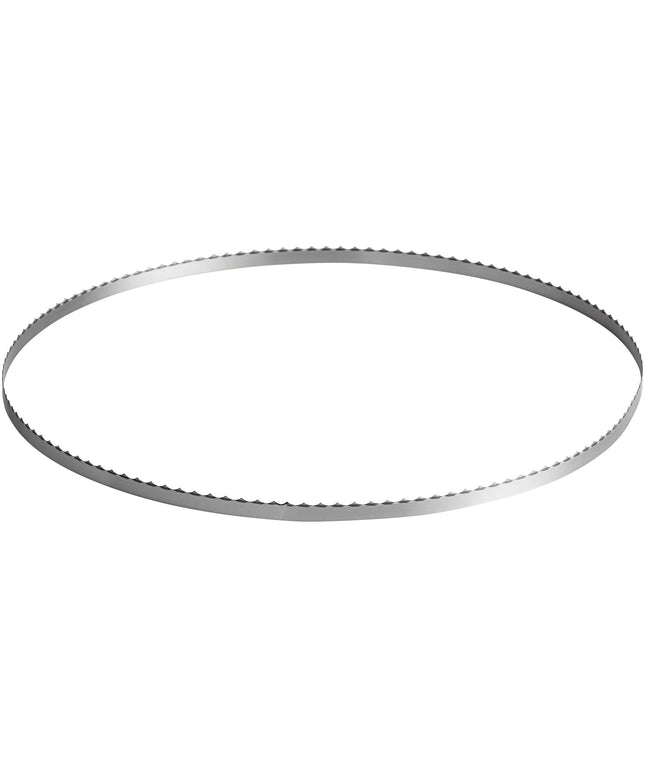 Lưỡi cưa băng thép 165 cm cho thịt lọc xương - Vỉ 5 cái