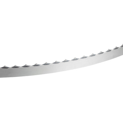 Lưỡi cưa băng thép 165 cm cho thịt lọc xương - Vỉ 5 cái