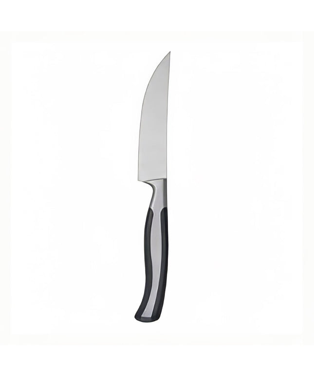 Dao Bít Tết Oneida B907KSSC Caspian 23.8 cm Inox