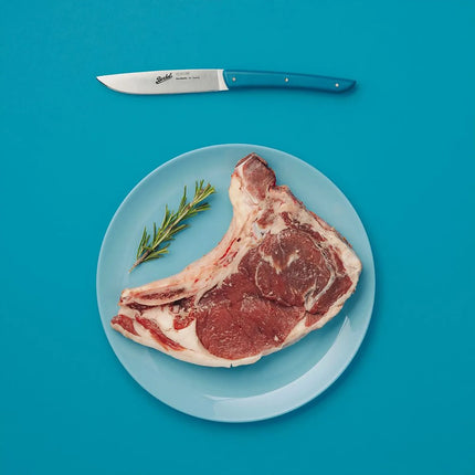 (4 pieces) BERKEL | Steak Knife Set – 110 mm Blade - AISI 420C Stainless - Petrol Blue Handles