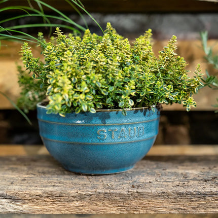 (4) STAUB| Ceramic Bowls Set – Antique Turquoise - Ø 140 mm