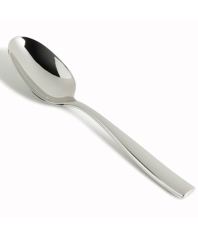 Muỗng Phục Vụ Fortessa 24.8 cm Thép Không Gỉ 18/10 Mẫu Lucca (1.5.102.00.027)