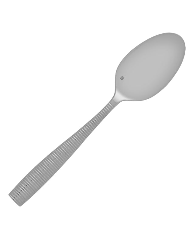 Muỗng Phục Vụ Fortessa 22.9 cm Thép Không Gỉ 18/10 Mẫu Ringo (1.5.103.00.027)