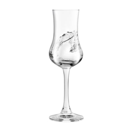 (6 pcs) Tumbler - GGM Gastro SPECIALS - 90 ml - Clear