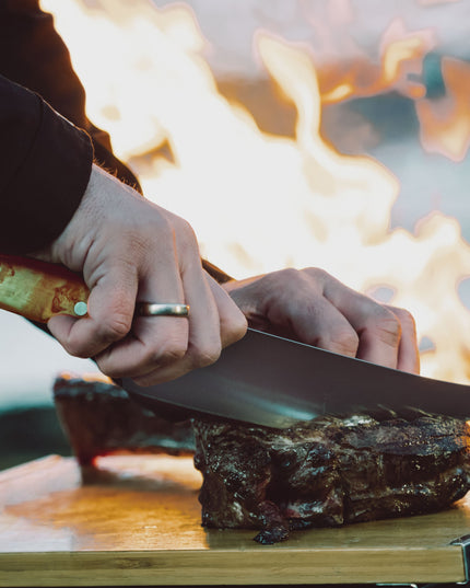 Dao BBQ ASADOR F.DICK VIVUM 22 cm
