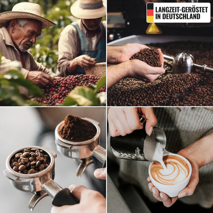 BELLADO| Pepper Coast Coffee Beans – Light Roast-Chocolate & Hazelnut-6 x 1 kg