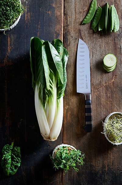 Dao Santoku F.DICK 1905 18 cm