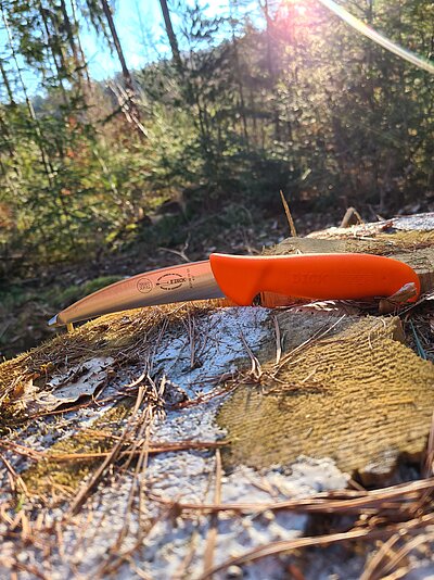 Dao Cắt Lòng Dạ Dày F.DICK ErgoGrip 12 cm