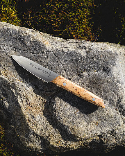 Dao Gọt F.DICK VIVUM 10 cm
