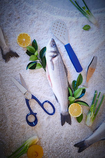 Nhíp Gắp Xương Cá F.DICK