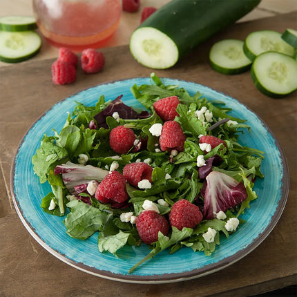 Đĩa Salad Melamine Tròn Carlisle 22.9cm, Màu Aqua (5400215)