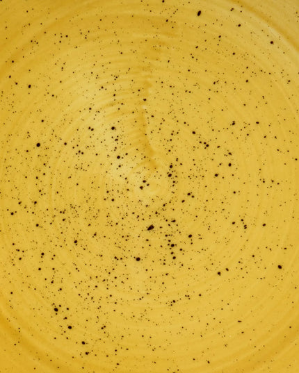 Đĩa Tròn Churchill Stonecast 22 cm - Gốm, Mustard Seed Yellow (SMSSEVP81)