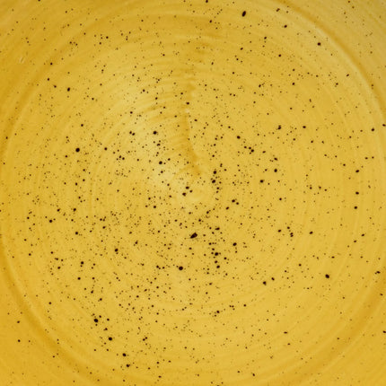 Đĩa Tròn Churchill Stonecast 22 cm - Gốm, Mustard Seed Yellow (SMSSEVP81)