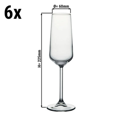 GGM Gastro (6 pcs) Champagne glass - ALLEGRA - 195 ml - Clear